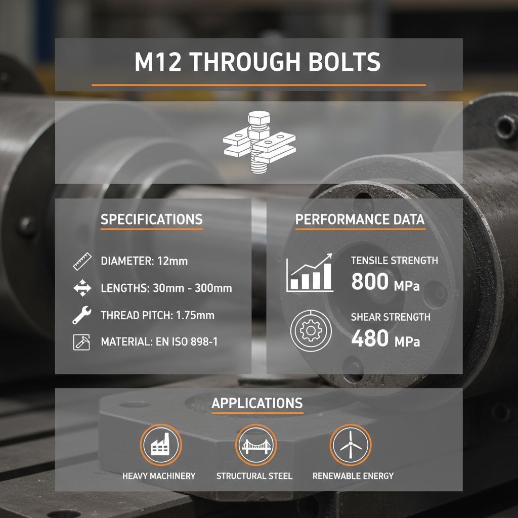 Comprehensive Guide to M12 Through Bolts Applications and Future Trends
