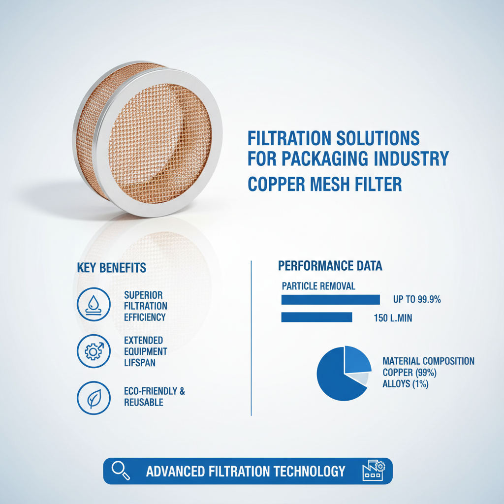 Comprehensive Guide to Copper Mesh Filter Applications and Benefits
