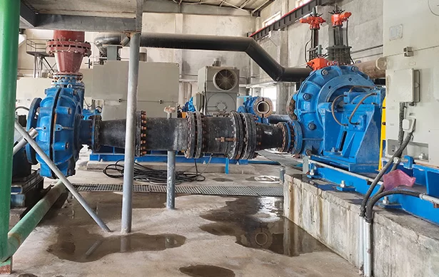 Slurry pump for Ash sedimentation tank project      