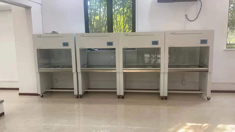 Malaysia customer order laminar air flow cabinet