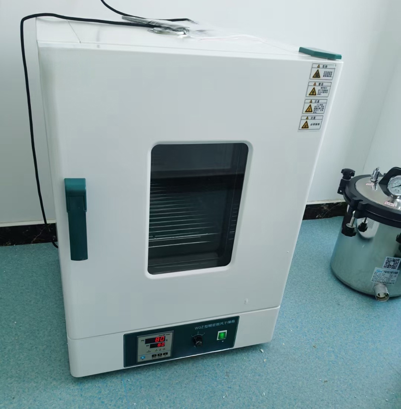 Blast type drying oven