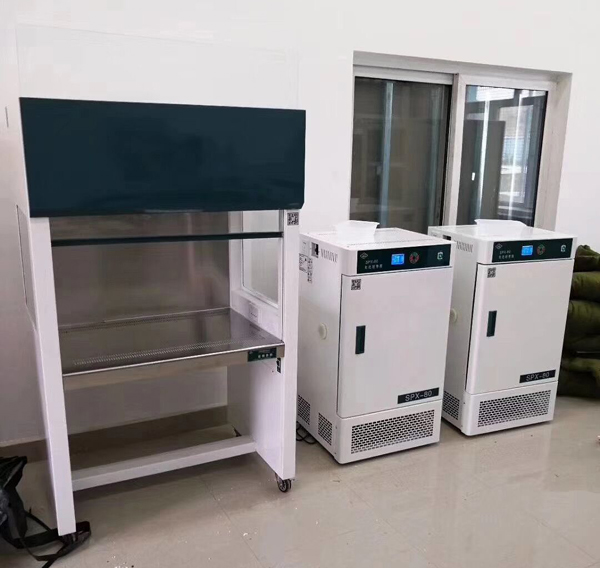 standard Laminar flow hood