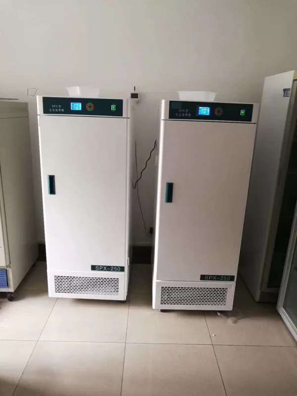 laboratory incubator