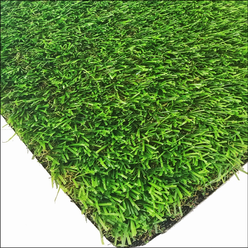 Garden Grass (GG25)