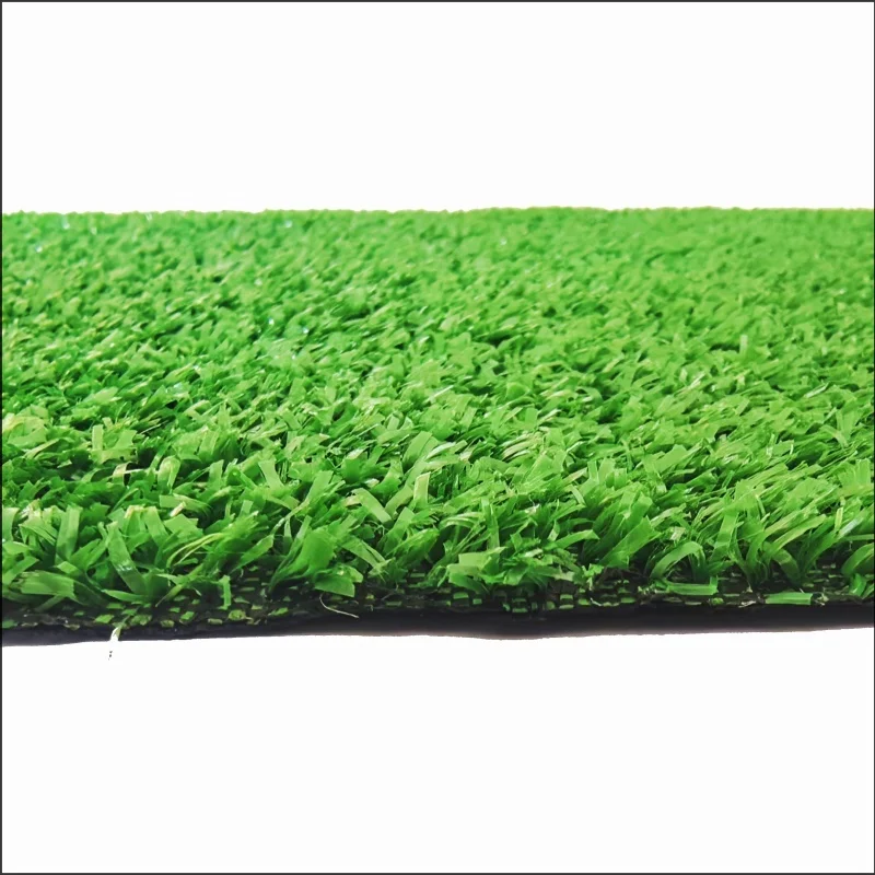 Carpet Grass CG8
