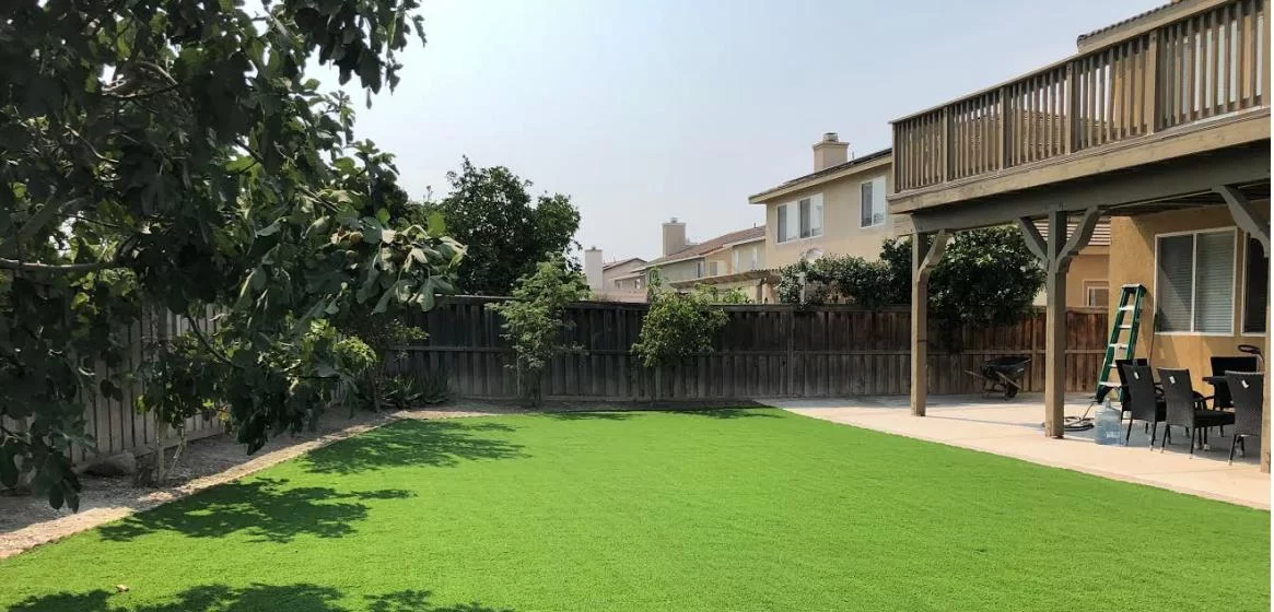 The Evolution and Market Dynamics of Artificial Grass Carpets