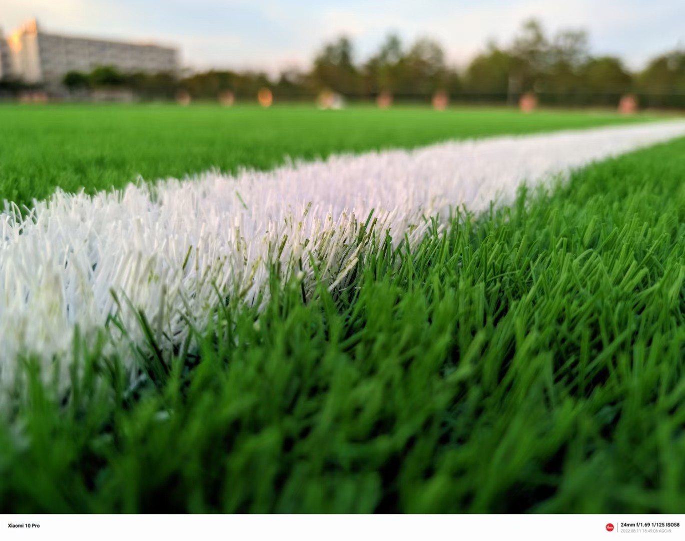 synthetic grass suppliers