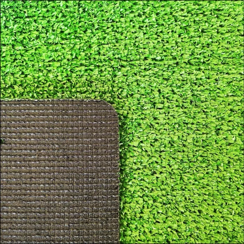 Carpet Grass CG10
