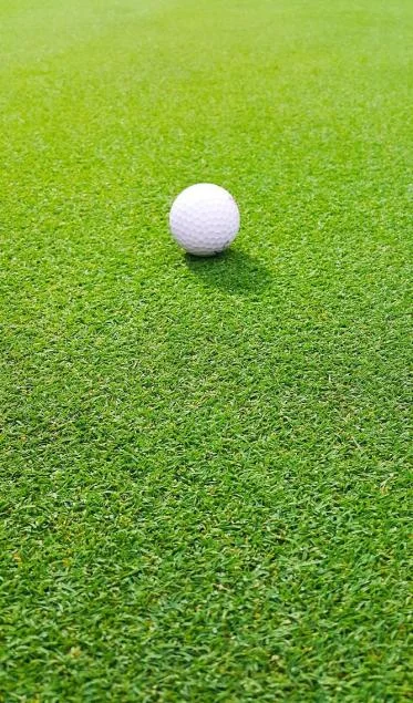 Golf Grass for Sale for Putting Green Perfection