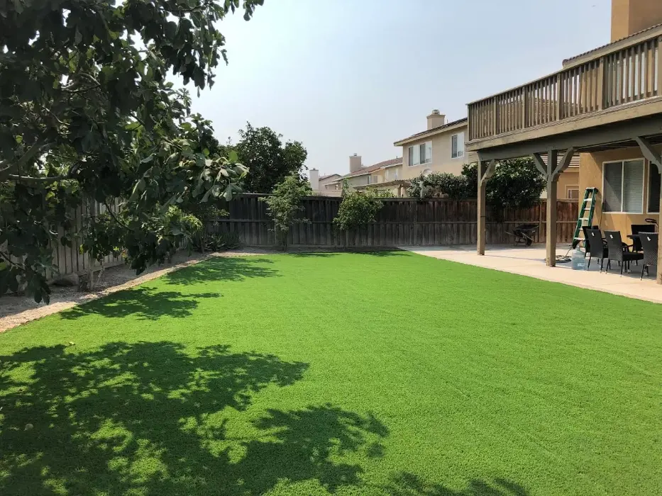 Comfortable Green Surface for Multi-Use Spaces