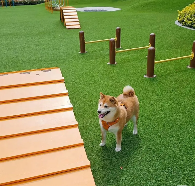 Artificial Carpet Grass