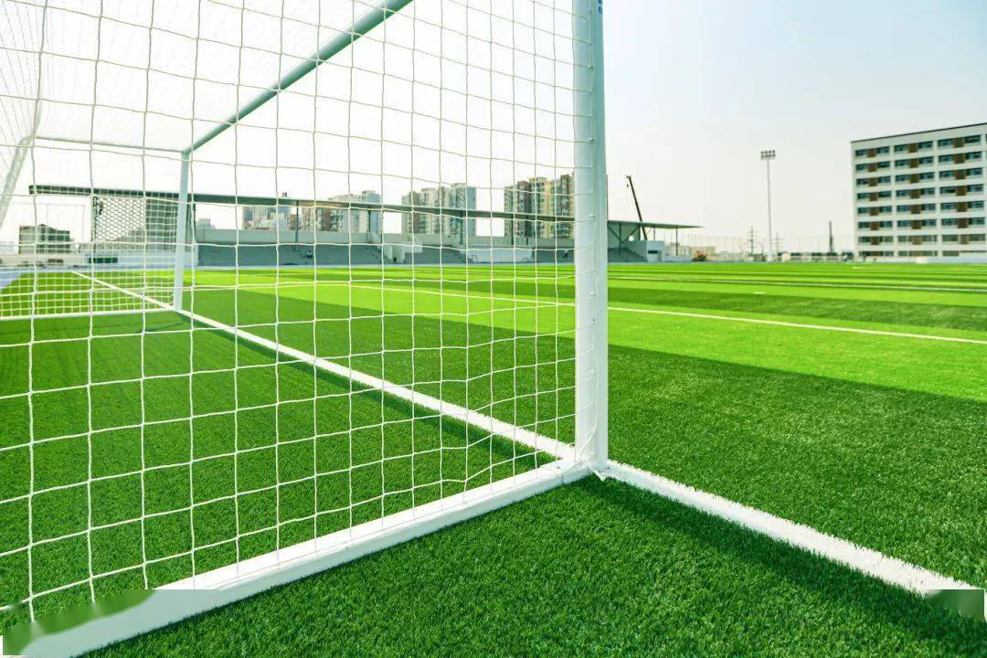 Artificial Sport Grass Case Studies: Stadium & School Projects
