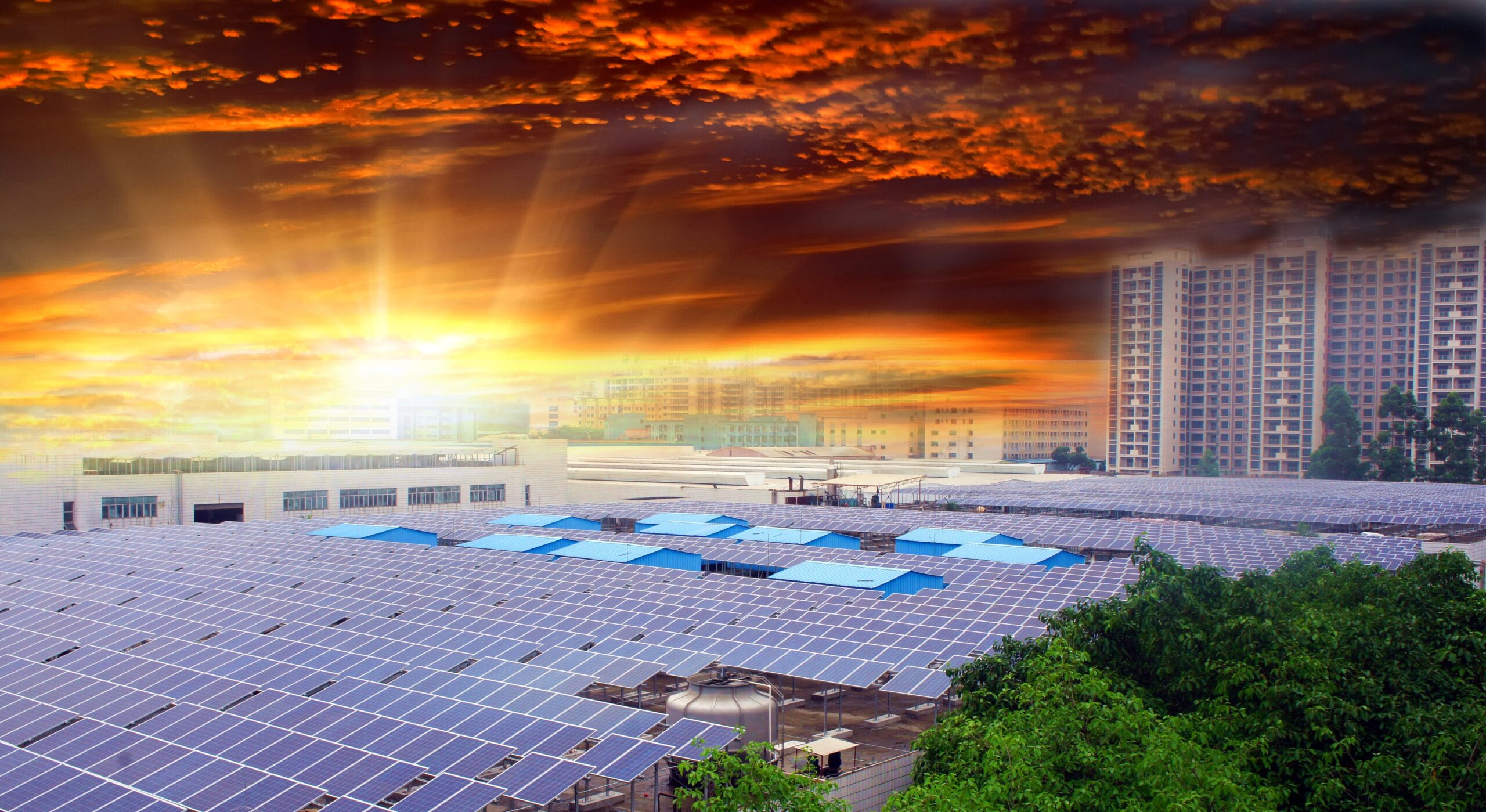 सौर फोटोवोल्टिक पैनल