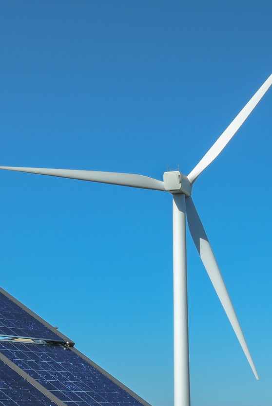 जो हमें चुनते हैं