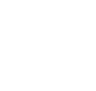 हैंडन झोंगरुई आयात और निर्यात व्यापार कं, लिमिटेड।