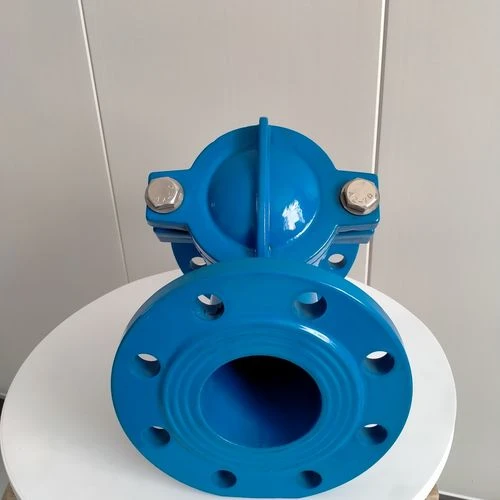 Bidirectional Flow Challenges in Globe Valve Systems