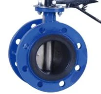 Butterfly Valve Types Corrosion Resistance