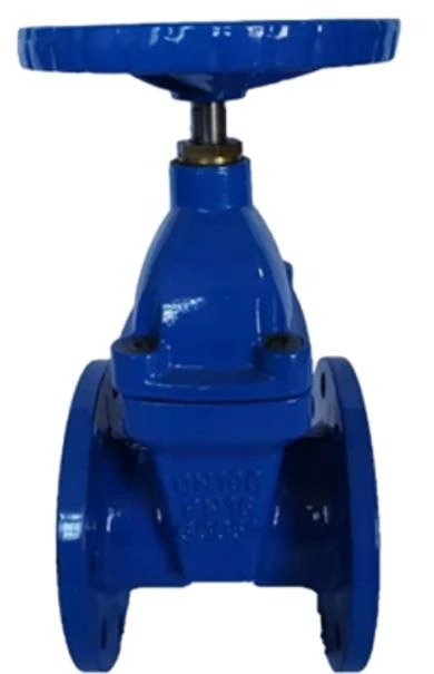 Globe Gate Valve Provides Precise Flow Regulation