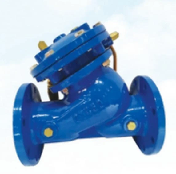 DN50 Filter Water Valves in Municipal Water Treatment
