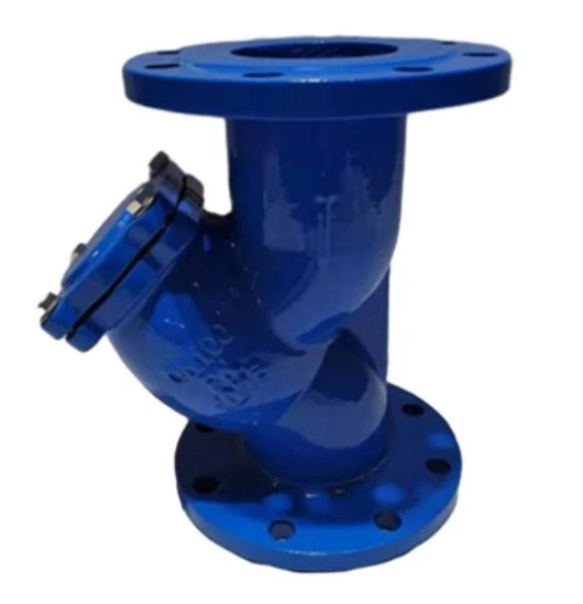 Installation Guide for Cast Iron Y Strainers