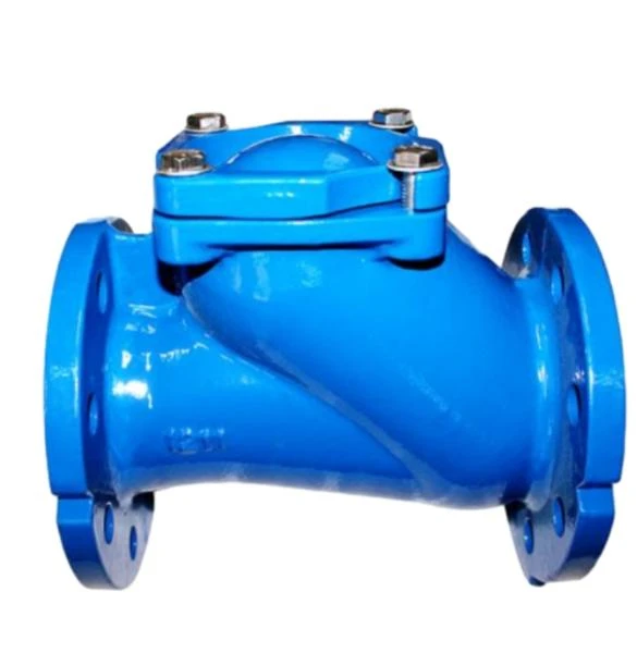 Importance of Routine Inspections for Ball Type Check Valves