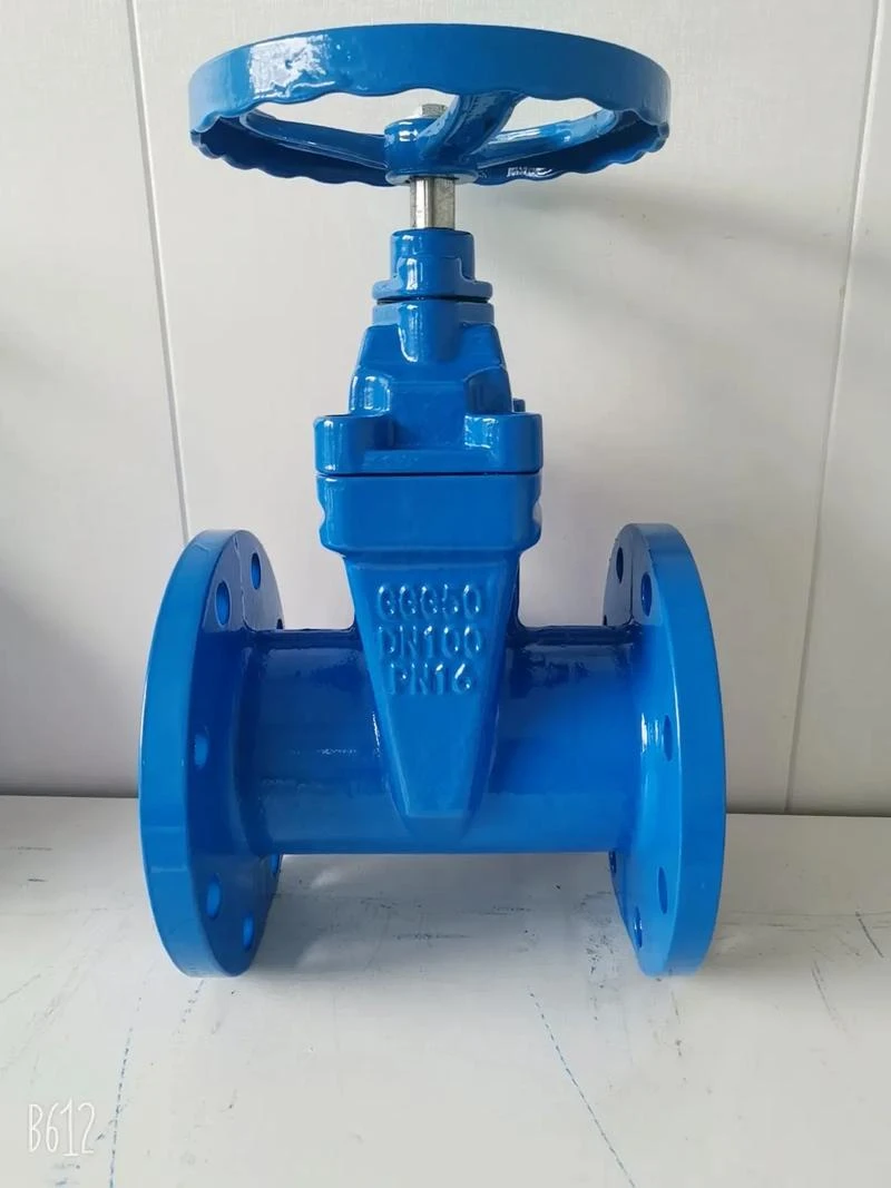 Valves in Water Treatment Plants