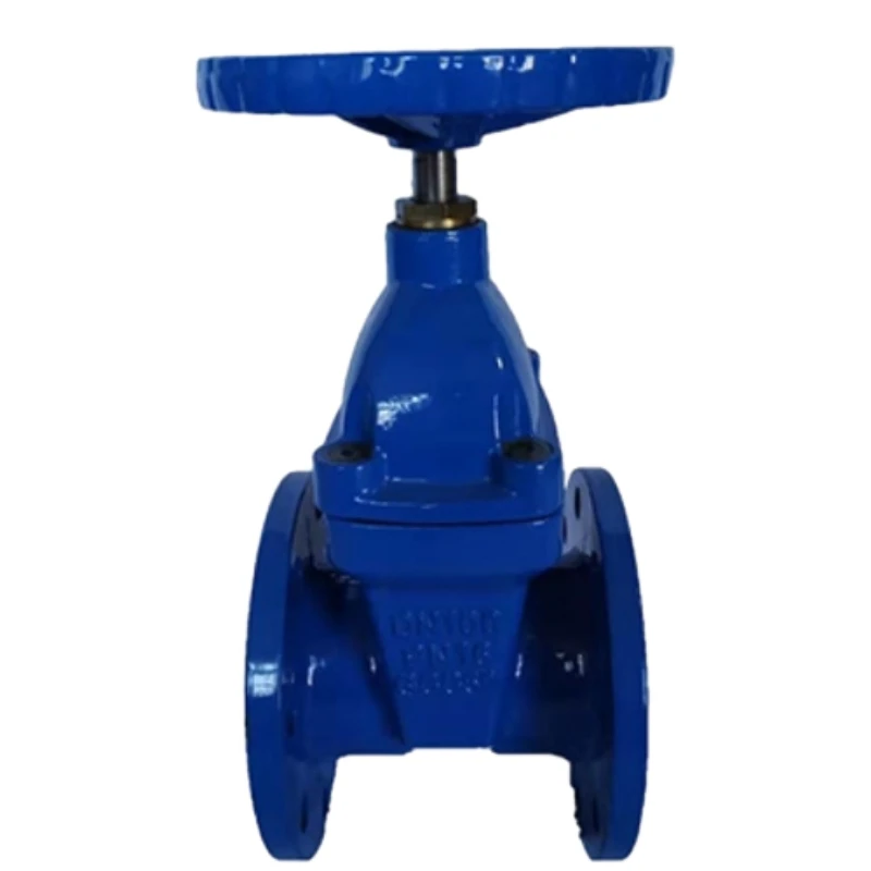 Gate Valve and Globe Valve