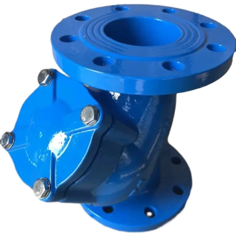 Y Type Strainer Function