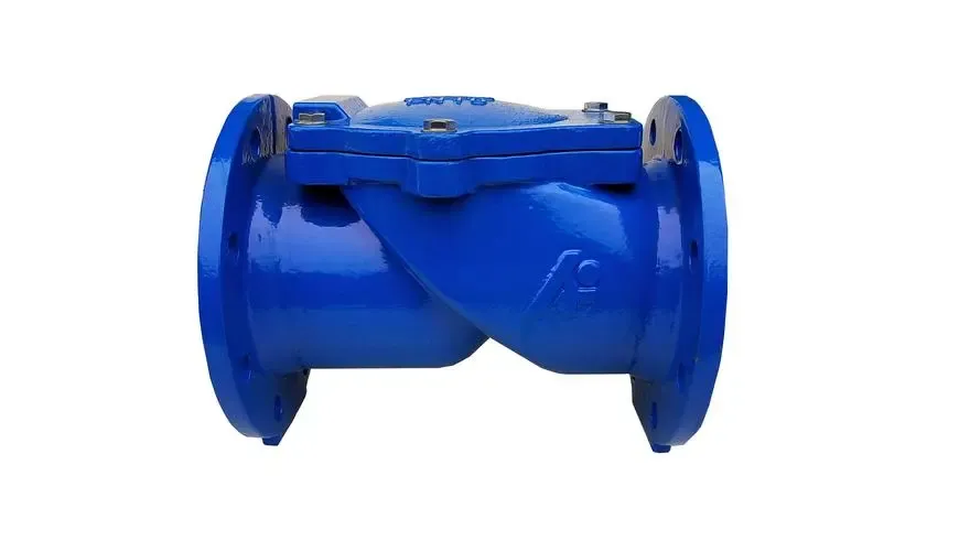 Read More About check valve assy