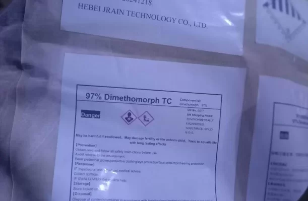 Industry Overview & Emerging Trends