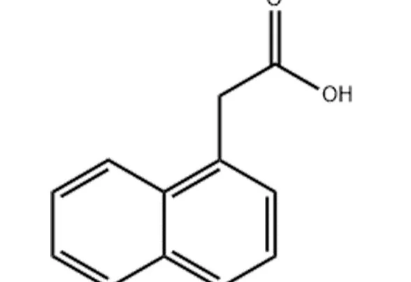 1-Naphthaleneacetic Acid (NAA): Structure, Properties, and Agricultural Importance