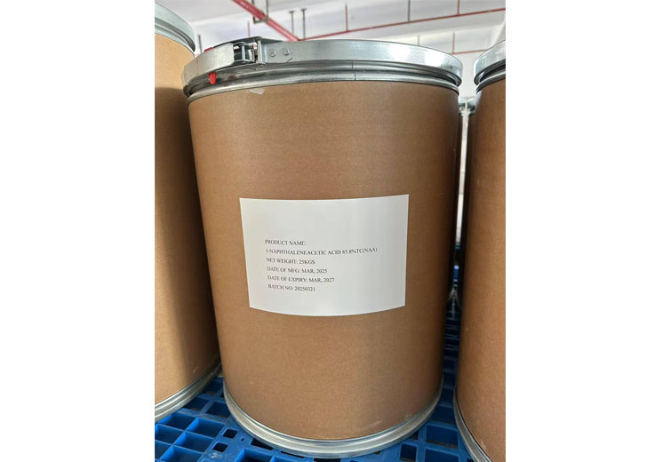 Ácido 1-naftaleneacético