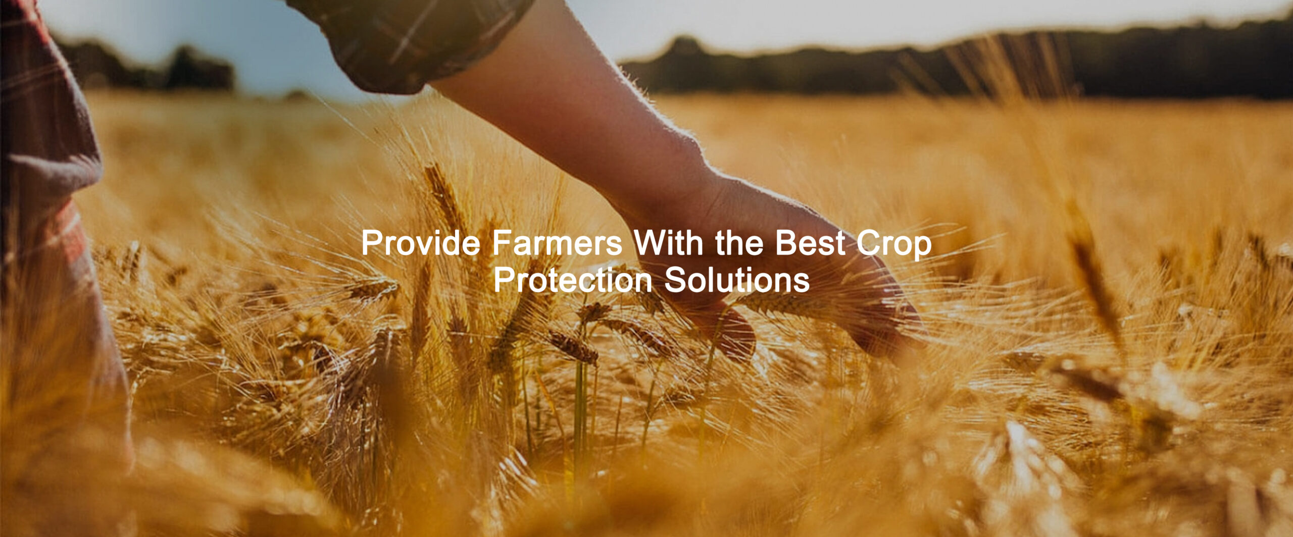 regulador de crescimento de plantas fornecedores