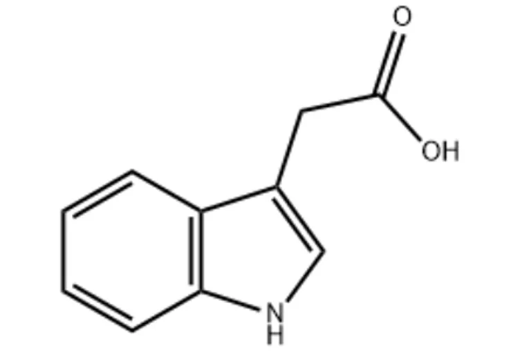 Premium 3Indoleacetic Acid IAA China Factory and Professional Suppliers