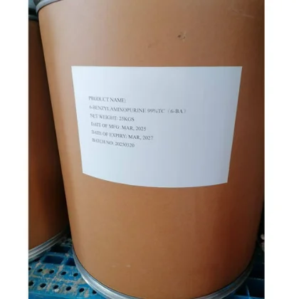 The Foundational Role of 6-Benzylaminopurine in Plant Biology