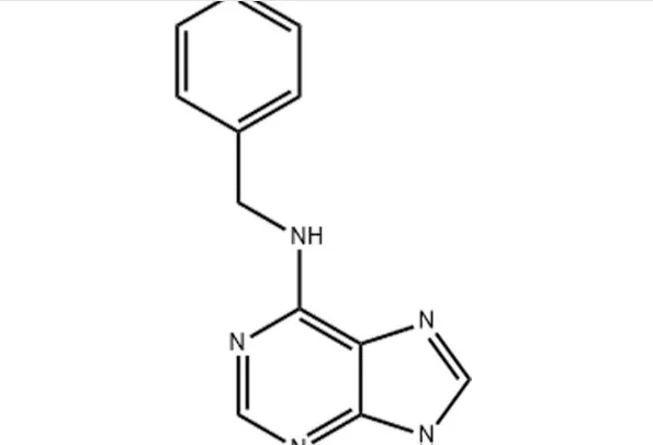 6-Benzylaminopurine (BAP): Properties, Solubility, and Applications in Plant Growth Regulation