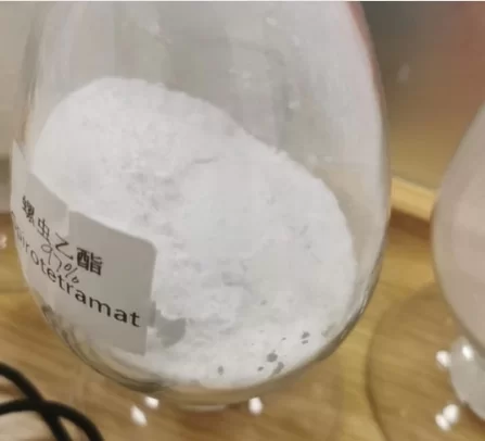 Industry Trends & Market Insights