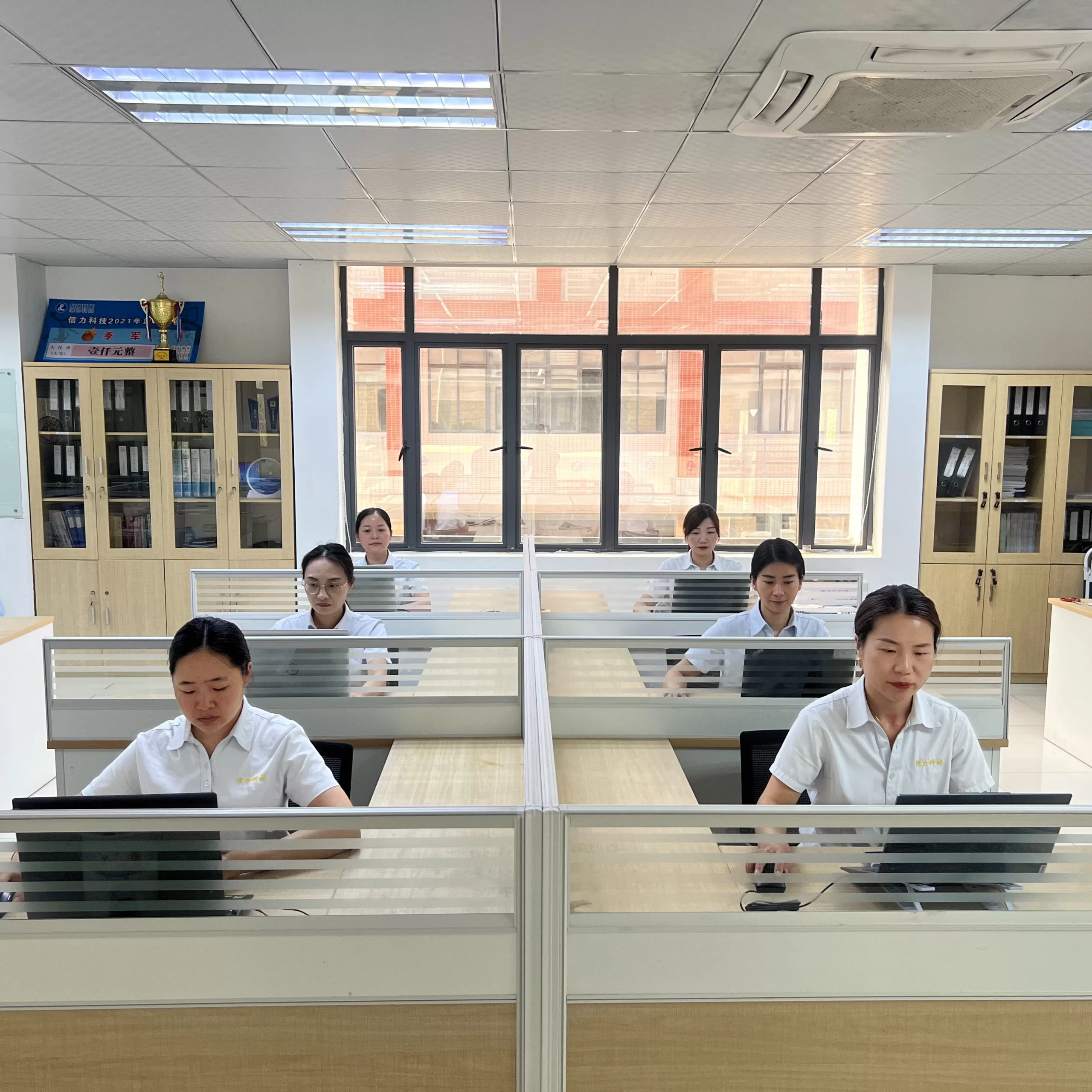 Future Leading EPDM Pad Battery Supplier Highlights Green Power Technologies at the Guangdong–Chile Economic & Trade Exchange 2025