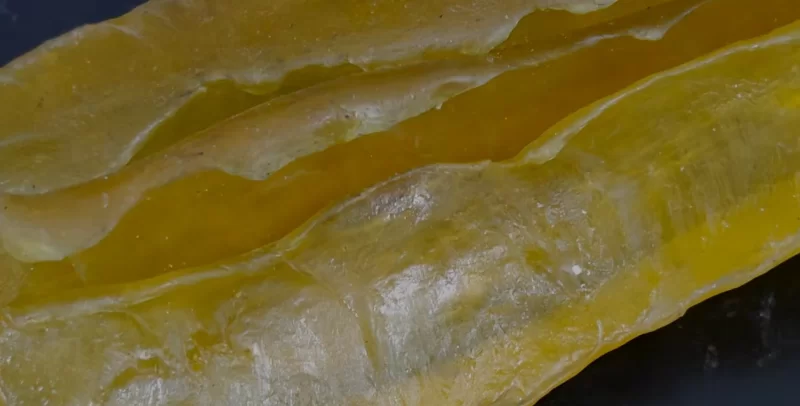 neoprene o ring cord