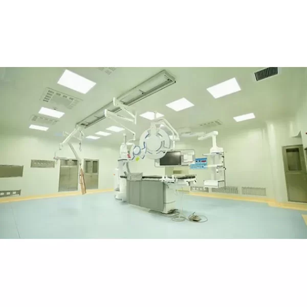 Customized Hospital ICU Purification Sterile Operating Room Purification Project from Hebei Lixin Medical Engineering Co., Ltd.