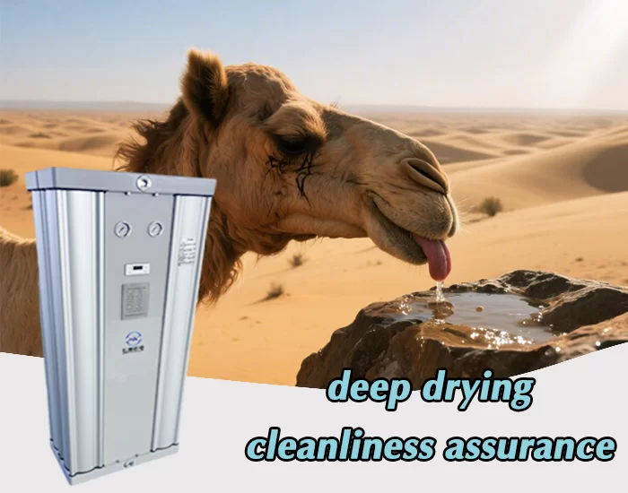 Hấp phụ mô -đun Drye