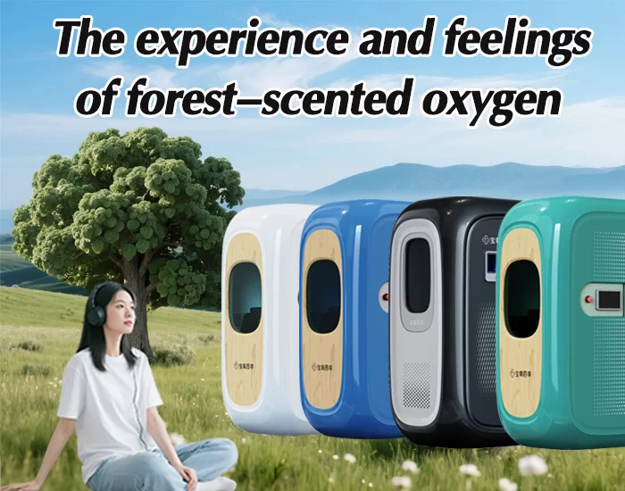 Polymère écologique unique de type L – personne Micro – Chambre d’oxygène hyperbarique