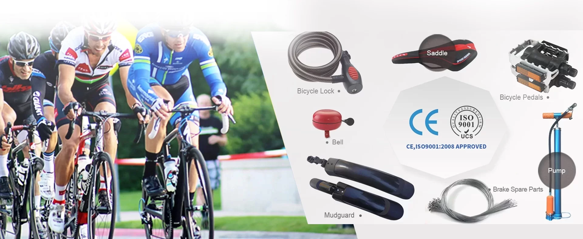 proveïdors a l'engròs de bicicletes