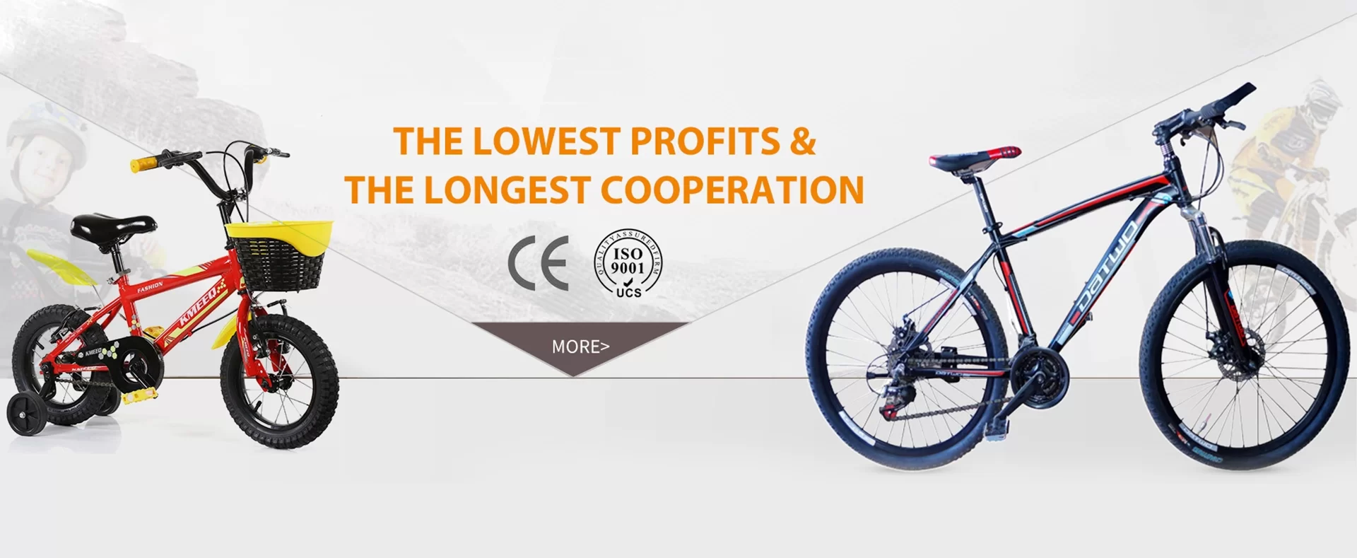 proveïdors de bicicletes