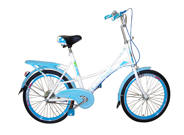 Steel Lugged Frame 28 Inch City Bicycle