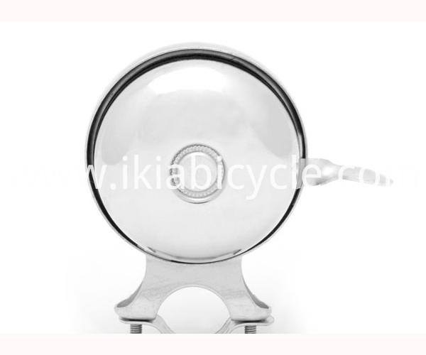 Custom Loud Cycling Electric Bike