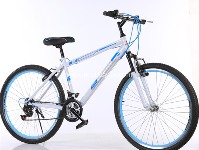 700C Classic Special Single Speed Track bike