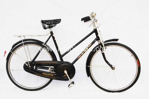 Classic Bike Vintage Bike Lady Bike