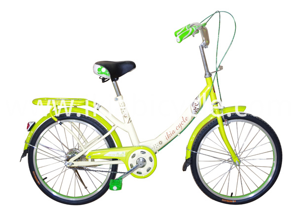 Steel Frame Lady Bicycle with Carrier