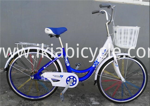 Popular Dutch Bicycle 28”